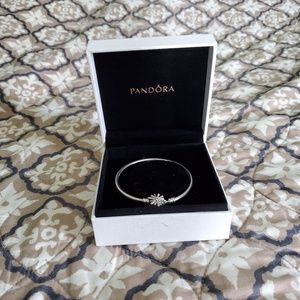 Pandora bracelet